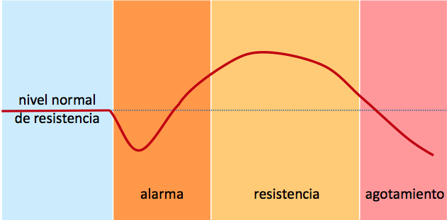 Socio Habiatge Fases Estrés