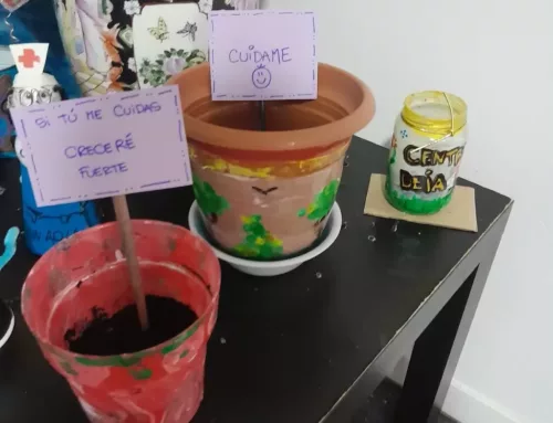 El projecte de Plantes de Sociohabitatge.